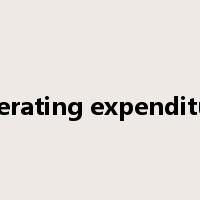 operating expenditure是什么意思