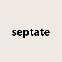 septate是什么意思