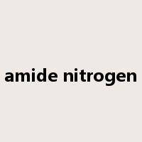 amide nitrogen是什么意思
