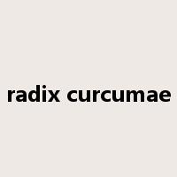 radix curcumae是什么意思