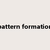 pattern formation是什么意思