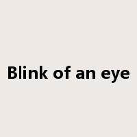 Blink of an eye是什么意思