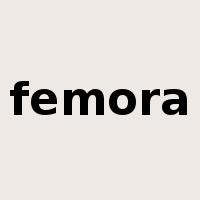 femora是什么意思