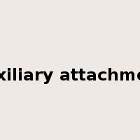auxiliary attachment是什么意思