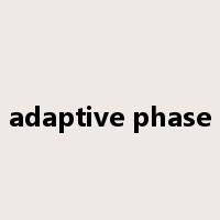 adaptive phase是什么意思