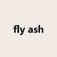 fly ash是什么意思