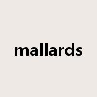 mallards是什么意思