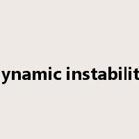 dynamic instability是什么意思