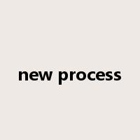 new process是什么意思