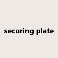 securing plate是什么意思