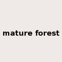 mature forest是什么意思