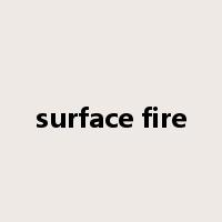 surface fire是什么意思