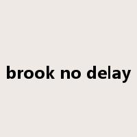 brook no delay是什么意思