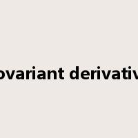 covariant derivative是什么意思