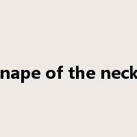 nape of the neck是什么意思