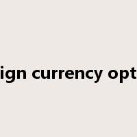 foreign currency options是什么意思