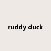 ruddy duck是什么意思