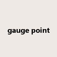 gauge point是什么意思
