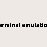 terminal emulation是什么意思