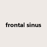 frontal sinus是什么意思