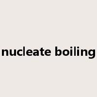 nucleate boiling是什么意思