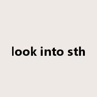 look into sth是什么意思