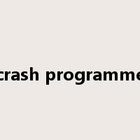 crash programme是什么意思