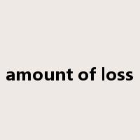 amount of loss是什么意思