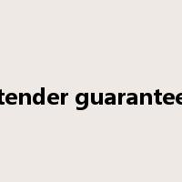 tender guarantee是什么意思