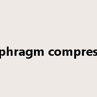 diaphragm compressor是什么意思