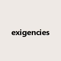 exigencies是什么意思