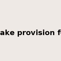 make provision for是什么意思