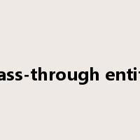 pass-through entity是什么意思