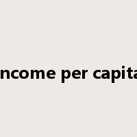income per capita是什么意思