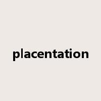 placentation是什么意思
