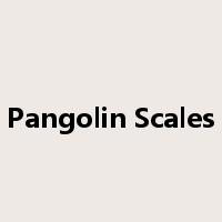 Pangolin Scales是什么意思