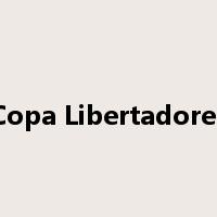 Copa Libertadores是什么意思