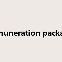 remuneration package是什么意思