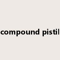 compound pistil是什么意思