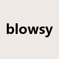 blowsy是什么意思