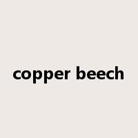 copper beech是什么意思