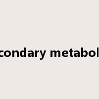 secondary metabolite是什么意思