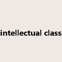 intellectual class是什么意思