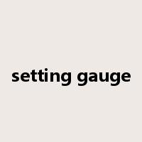 setting gauge是什么意思