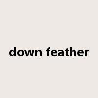 down feather是什么意思