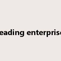 leading enterprise是什么意思