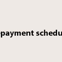 repayment schedule是什么意思