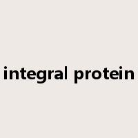 integral protein是什么意思