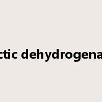 lactic dehydrogenase是什么意思