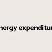 energy expenditure是什么意思